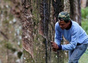 Pengeluaran getah asli susut 8.2 peratus pada Mac