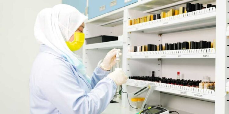 Masha Group jadi pilihan utama pengasas produk