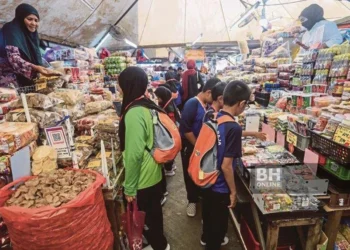 Pendigitalan PKS: Akses meluas, tetapi sekadar di permukaan