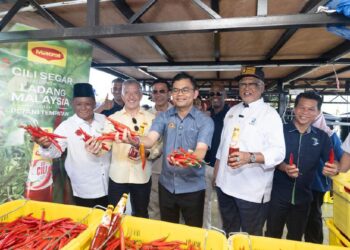Projek Cili IPR-INTAN Jana Pendapatan Peladang B40