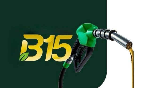 Mandat biodiesel B15 stabilkan harga sawit, lindungi hasil peneroka