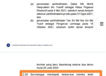 RCI: Penamatan CEO, Pengerusi Lembaga TH dibuat tanpa sebab munasabah