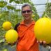 Melon Manis Machang cetus fenomena agropelancongan, angkat identiti baharu jajahan