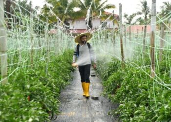 MY Farm Agro pacu transformasi pertanian pintar