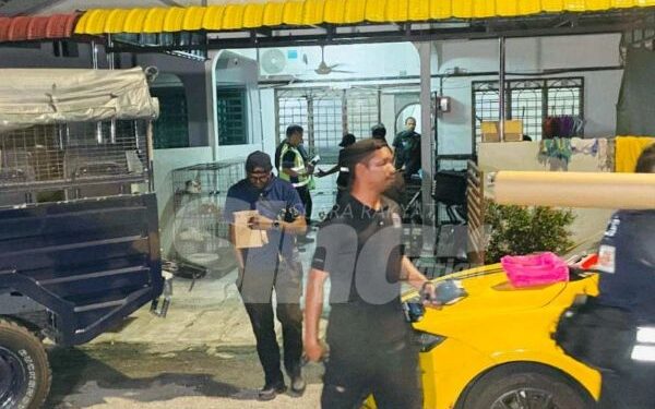 Ibu maut dipercayai ditikam anak sendiri