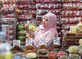 Kemudahan pinjaman, jaminan pembiayaan RM16 bilion bantu PMKS